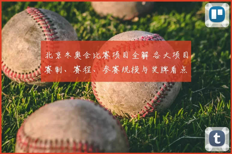 北京冬奥会比赛项目全解 各大项目赛制、赛程、参赛规模与奖牌看点