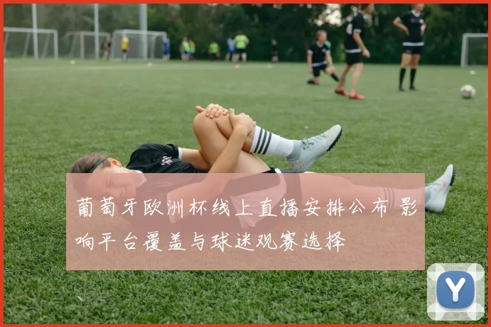 葡萄牙欧洲杯线上直播安排公布 影响平台覆盖与球迷观赛选择