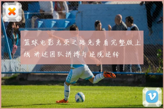 篮球电影光荣之路免费看完整版上线 讲述团队拼搏与逆境逆转