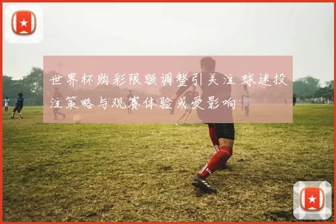 世界杯购彩限额调整引关注 球迷投注策略与观赛体验或受影响