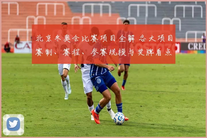 北京冬奥会比赛项目全解 各大项目赛制、赛程、参赛规模与奖牌看点