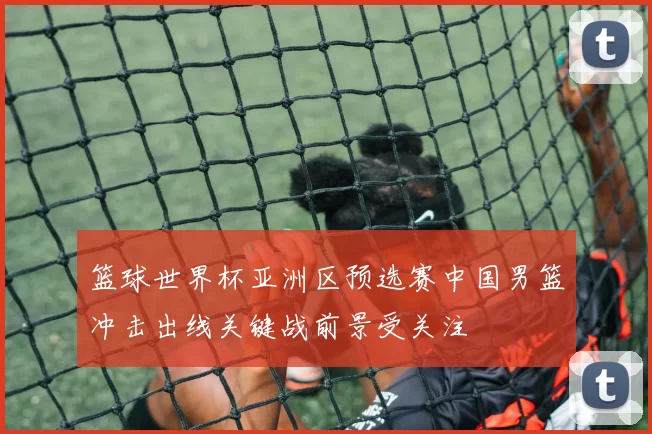 篮球世界杯亚洲区预选赛中国男篮冲击出线关键战前景受关注